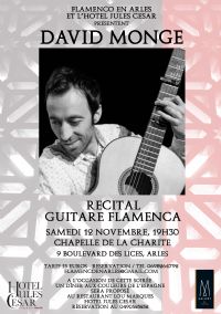 Récital de Guitare Flamenca. Le samedi 12 novembre 2016 à Arles. Bouches-du-Rhone.  19H30